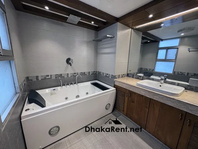 Fully Furnished Luxury Apartment in Baridhara. Located few meters from American School
